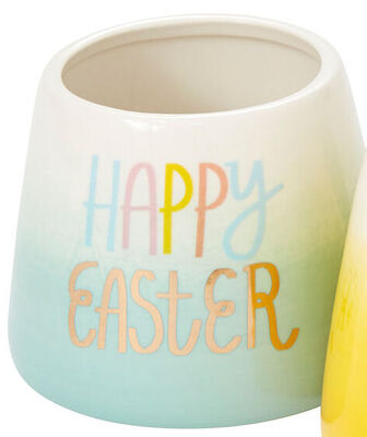 Hello Spring from Bakanas Florist & Gifts, flower shop in Marlton, NJ